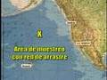 Mar Sintético