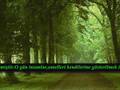 http://img.youtube.com/vi/Fetih Suresi/default.jpg Fetih Suresi