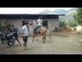 Click here to watch this video Midas FB