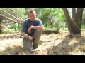 Bushcraft Knife Review of ESEE 5 (RAT RC-5 SERE)