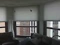 New Motorized Shades