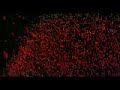 Keane - Spirlling (Video)