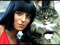 tributo a yulia volkova
vsya moya lubov 
tatu