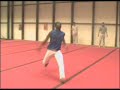 Team Superfly - Champion Sampler#1 - 2004