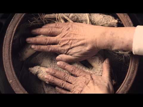 극진 스킨 영상