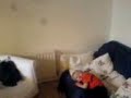 somersault