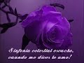 Amor te amo