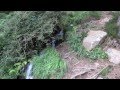 A Walk Through Glendalough, County Wicklow ...