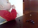 No-one can eat 50 blueberries \