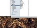 Get Finder File Path Info with TextEdit