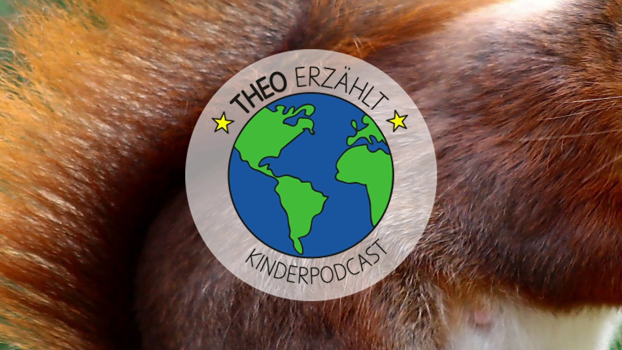Folge 6: das Eichhörnchen – Theo erzählt
