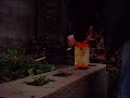 The amazing Cog - Blows up a milk carton