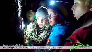 Auf den Spuren der Fledermaus | Nachtwanderung für Kinder