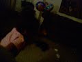 ZAIHAR THOMAS AT DA AGE OF 4