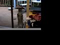Stupid kitten tricks