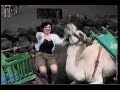 Video de Chascarros