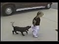 Video de Chascarros