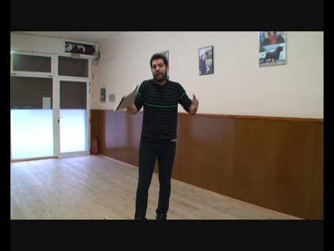 Explicacio Flashmob