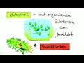 Click here to watch this video Einzeller - Das Pantoffeltierchen | Biologie | Cytologie