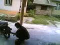 baloh keh kucing...