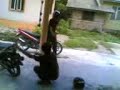 baloh keh kucing...