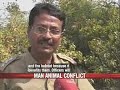 Tiger caught in man-animal tussle