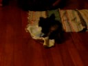 More of Little Bit