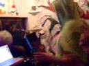 Dr. Rek in Kedamono-Iku vol.9 at Disco Beans - 2