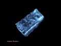 3D sciatic nerve 3D sciatic nerve