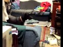 Insane Dog Insane Dog