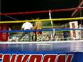 muzaffer gemici proffessional turkey champion crazy knockout 