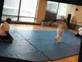 videos de Aikido Basics Mae Ukemi Front Rolling Exercise