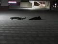 Episode Two Intro