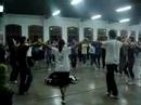 Aplec de Calella 2008 - 2