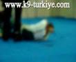 K9 Özel Güvenlik-Homelandsecurity2007