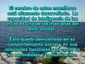 TECNOLOGÍA LAS ORCAS.wmv