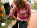 ADIESTRANDO A JAKY