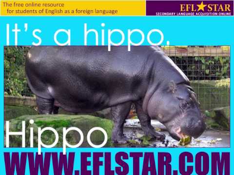 Lessons - Wild Animals wild animals pictures with names. Lessons - Wild Animals
