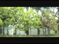 Click to View : Viviendas Agroforestales