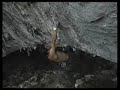 Rock Climbing - White Zombi