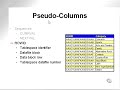 learning oracle application developer 66