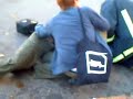 Gay Man Beaten by Anti-Gay Marriage Activist Gay Man Beaten by Anti-Gay Marriage Activist