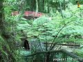 Yoga Relaxation Techniques
