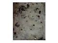 Vik Muniz - Giant Junk Speedpainting - Narcissus
