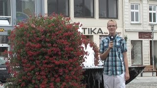 ANKETA: Jak jste spokojeni s kulturou v Mohelnici