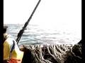 videos de PESCADOR SECHURANO