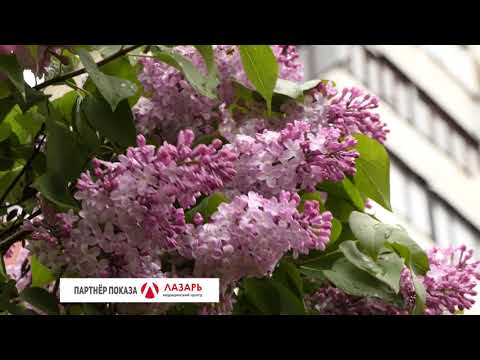 Барановичи день за днем. 12.05.20.