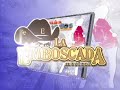 La Emboscada Musical, Grupo Erandi, Banda el Tarolazo, La Kalma de Mexico, Los Superiores --------
