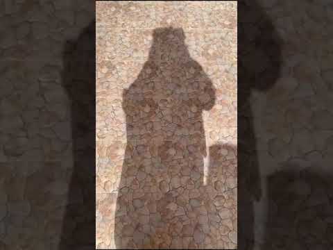 تبيين وقت صلاة العصر، في يوم الأحد بتاريخ : ٤ ذو القعدة لعام : ١٤٤٥ هـ