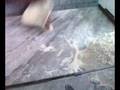videos de PIZZERIA DI COSIMO BARI 
